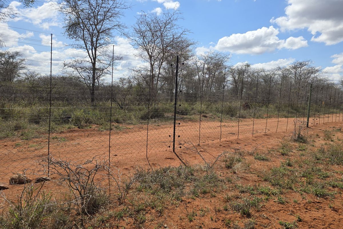 A view of the farm perimeter featuring wire mesh fencing and metal posts along a dirt track, set against a natural bushveld landscape.