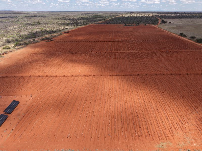 Aerial view of a large, tilled agricultural field featuring installed irrigation lines and a small solar panel array on the property.