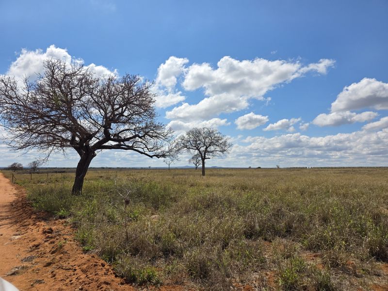 A wide-angle view of the expansive farm landscape featuring open grasslands, scattered trees, and clear blue skies.