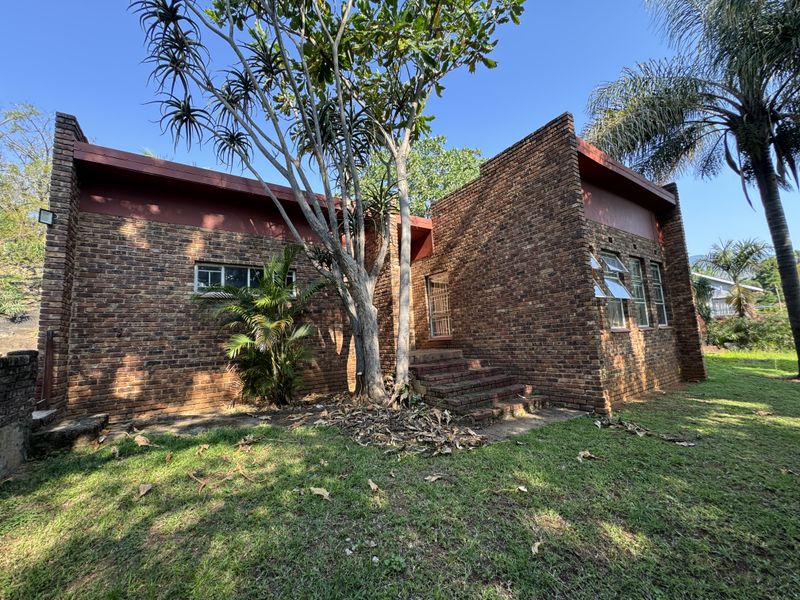 Front elevation of a face brick house featuring steel frame windows and brick entrance steps set within a garden.