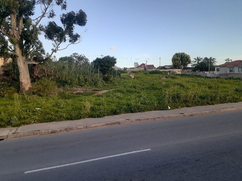 A vacant residential plot featuring a paved sidewalk, mature trees, and established boundary walls, offering a clear view from the street.