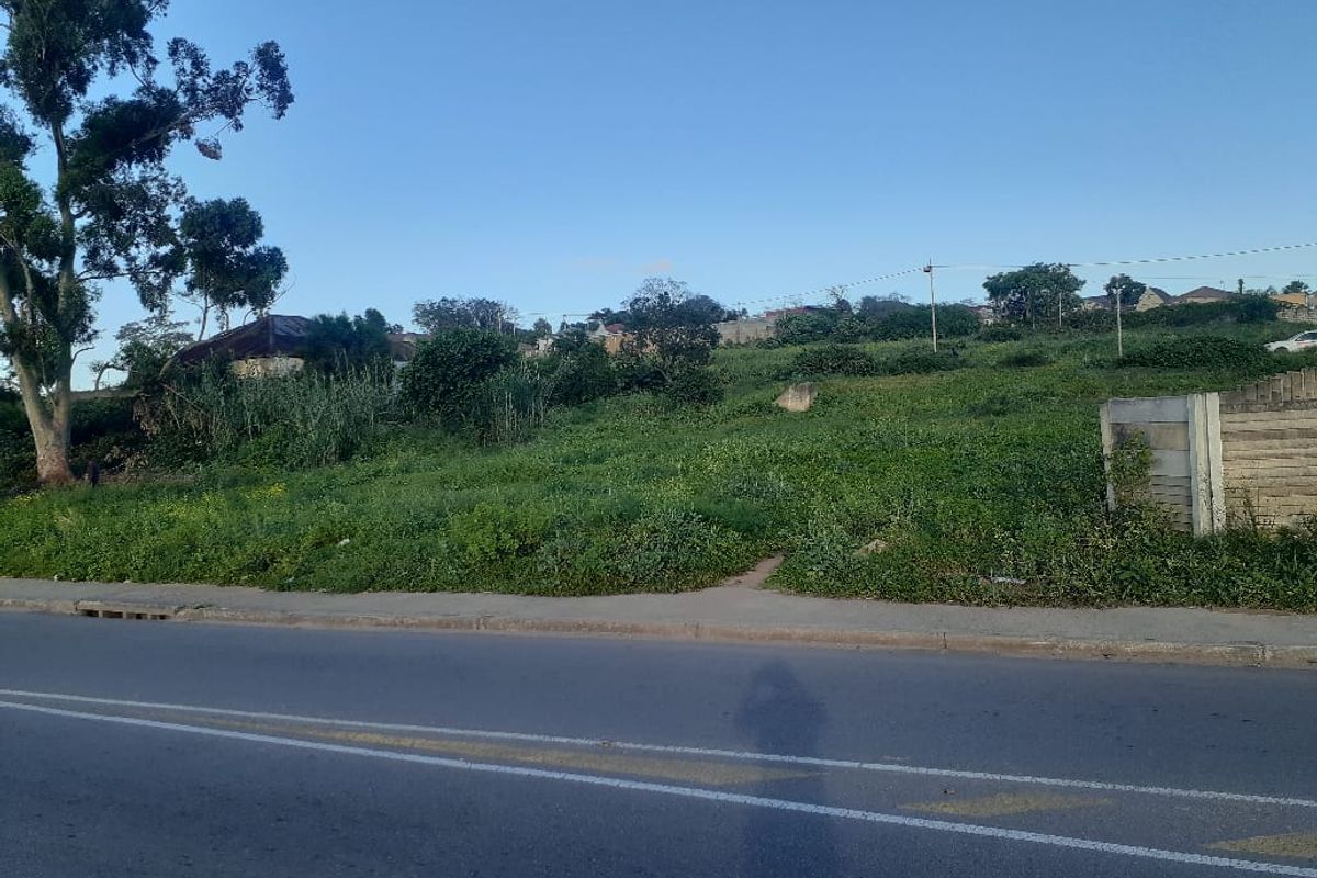 A street-level view of a vacant residential plot featuring a concrete boundary wall and direct access to the paved road.
