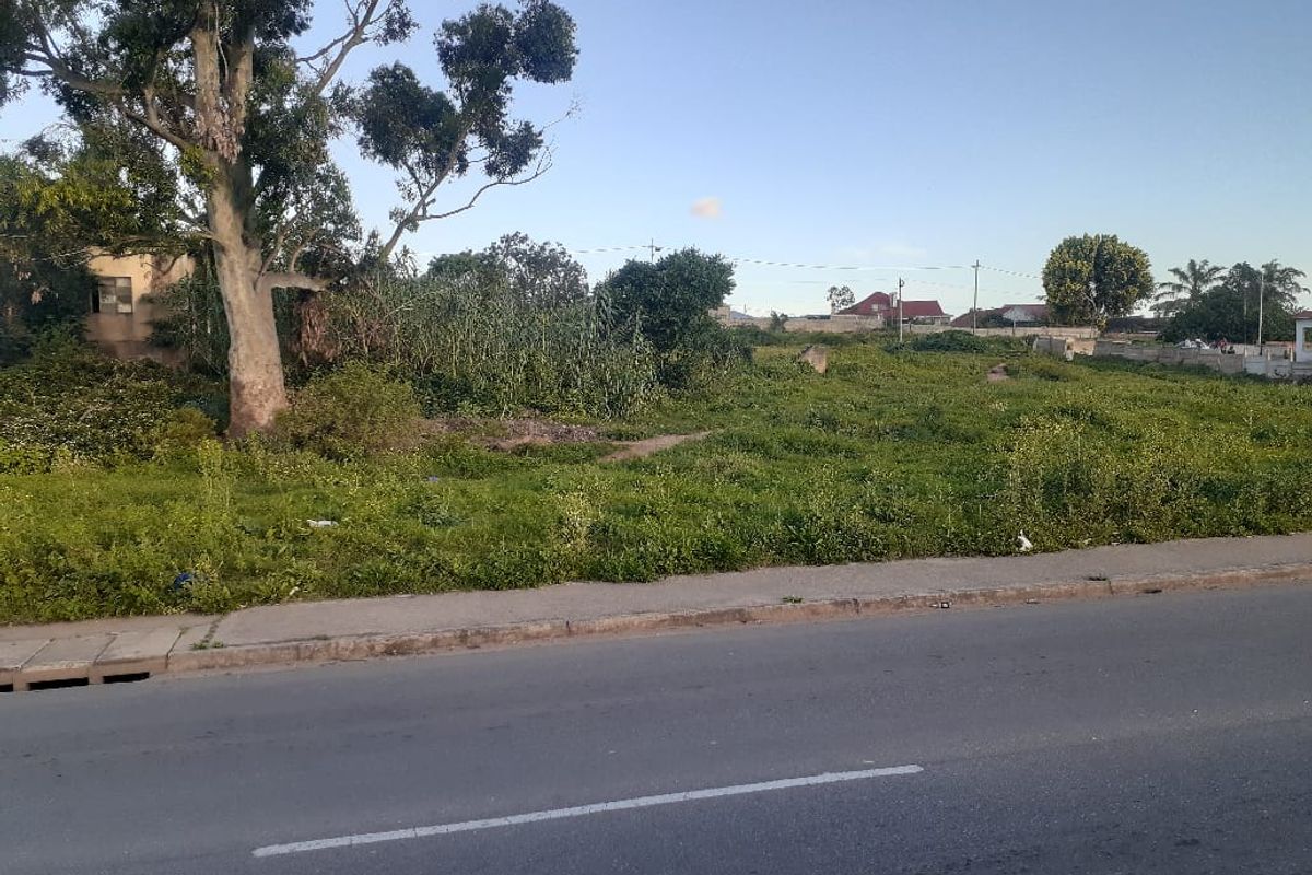 A vacant residential plot featuring mature trees and direct street access, offering a blank canvas for future development.