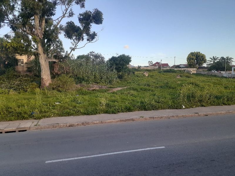 A vacant residential plot featuring mature trees and direct street access, offering a blank canvas for future development.