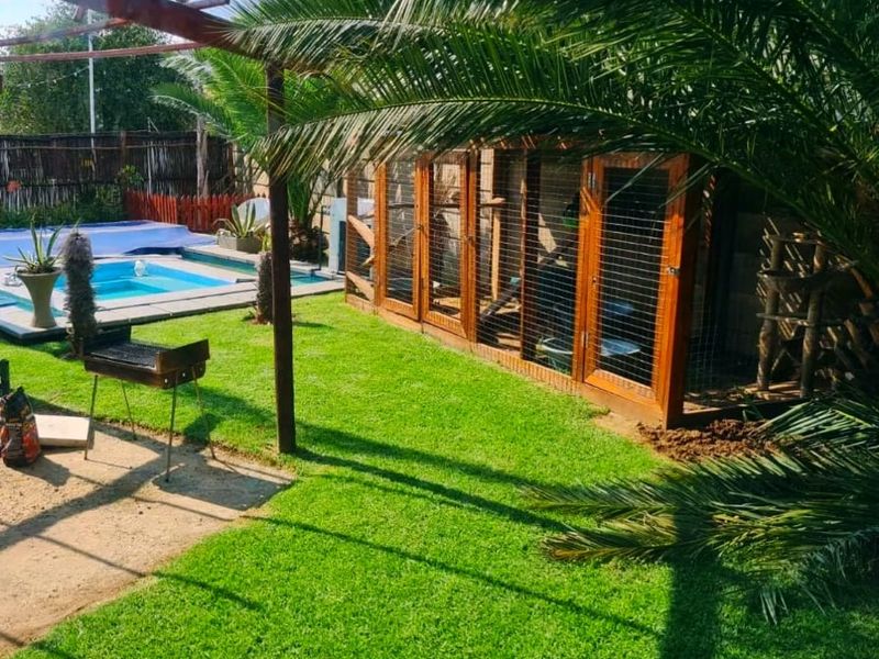 Outdoor pool area featuring a well-maintained lawn, a wooden pergola structure, and a large mesh animal enclosure.