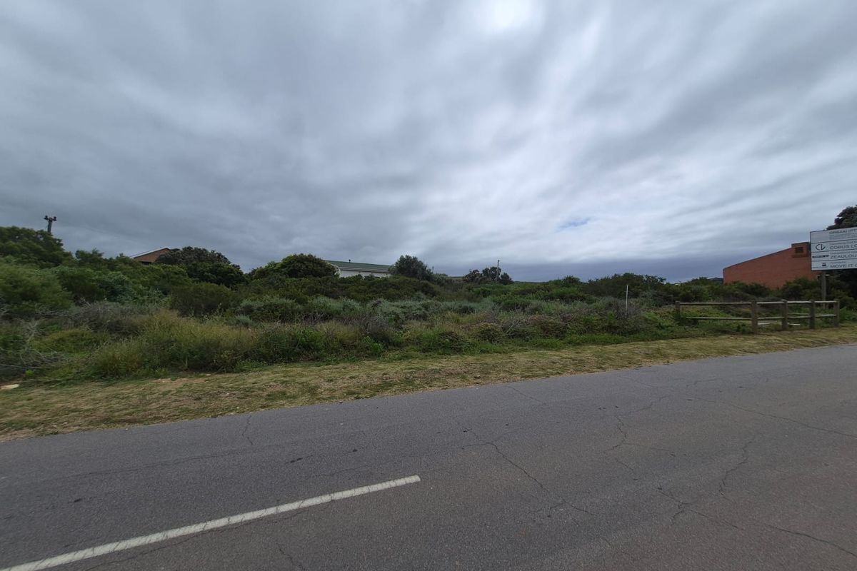 Street view of a vacant residential plot featuring natural vegetation, a timber fence, and adjacent road access.
