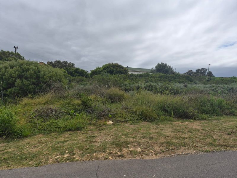 A view of an undeveloped residential plot featuring native vegetation and natural terrain, ready for future development.