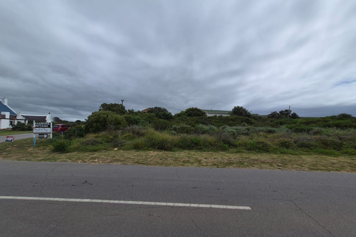 A street-level view of a vacant residential plot featuring native vegetation and bordering an asphalt road.