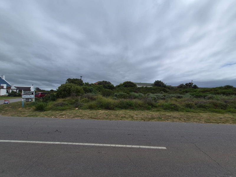 A street-level view of a vacant residential plot featuring native vegetation and bordering an asphalt road.