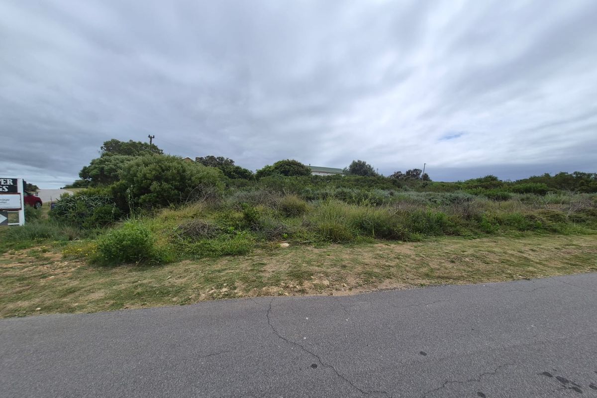 A view of a vacant residential plot featuring native vegetation and direct access to an asphalt road.