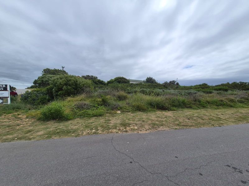 A view of a vacant residential plot featuring native vegetation and direct access to an asphalt road.
