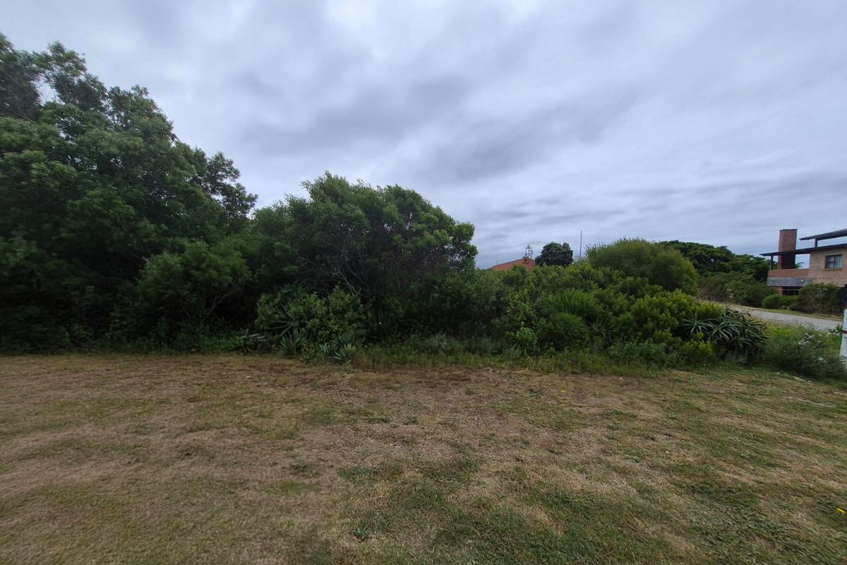 A view of a residential plot featuring established trees, dense shrubbery, and a grass lawn area.