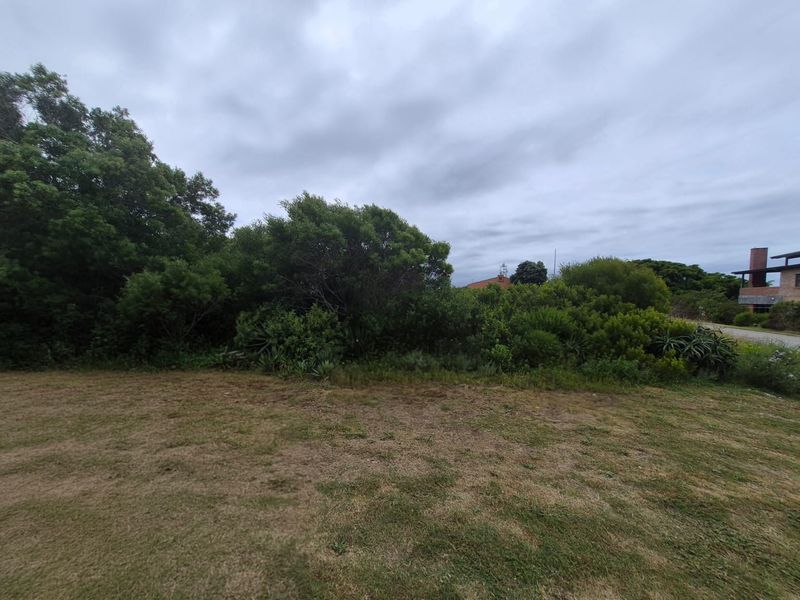 A view of a residential plot featuring established trees, dense shrubbery, and a grass lawn area.