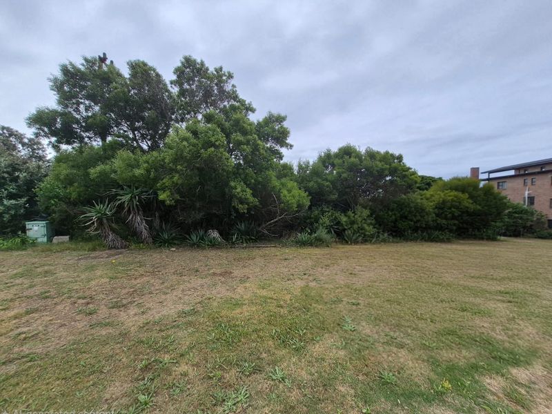A view of a vacant residential plot featuring established trees, shrubs, and a grass lawn area.
