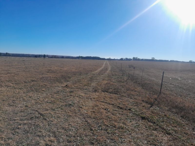 Expansive open farm land featuring a dirt track and perimeter wire fencing under a clear blue sky.