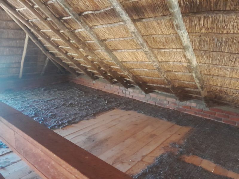 An unfinished attic or loft space featuring exposed thatched roofing, timber trusses, and brick walling, offering potential for conversion or storage.