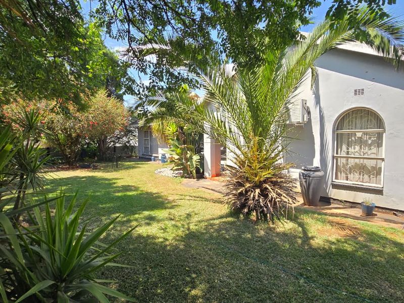 A lush, well-established garden area featuring mature trees, palm plants, and a paved walkway alongside the side elevation of the house.
