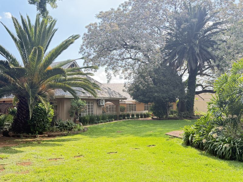 A well-maintained rear garden featuring a lush lawn, mature palm trees, and a view of the house exterior with tiled roofing and brick finishes.