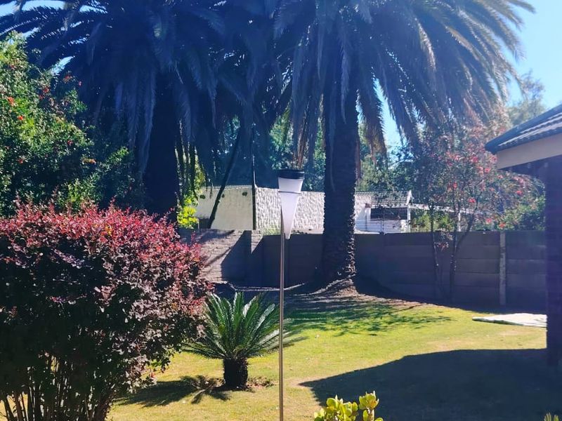 A well-maintained private garden featuring mature palm trees, established shrubs, and a secure boundary wall.