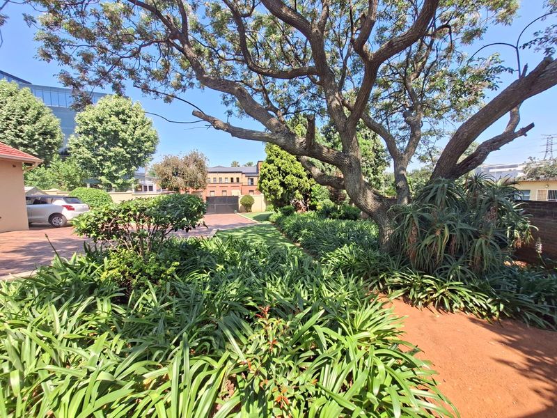 A well-maintained garden area featuring mature trees, lush landscaping, and a paved driveway leading to the property entrance.