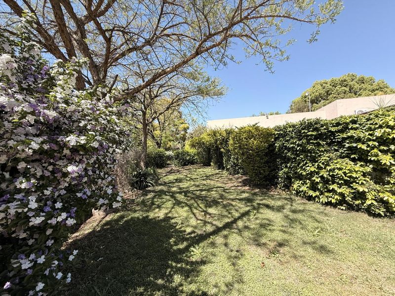 A well-maintained private garden area featuring established trees, lush green lawn, and mature perimeter hedging providing natural privacy.