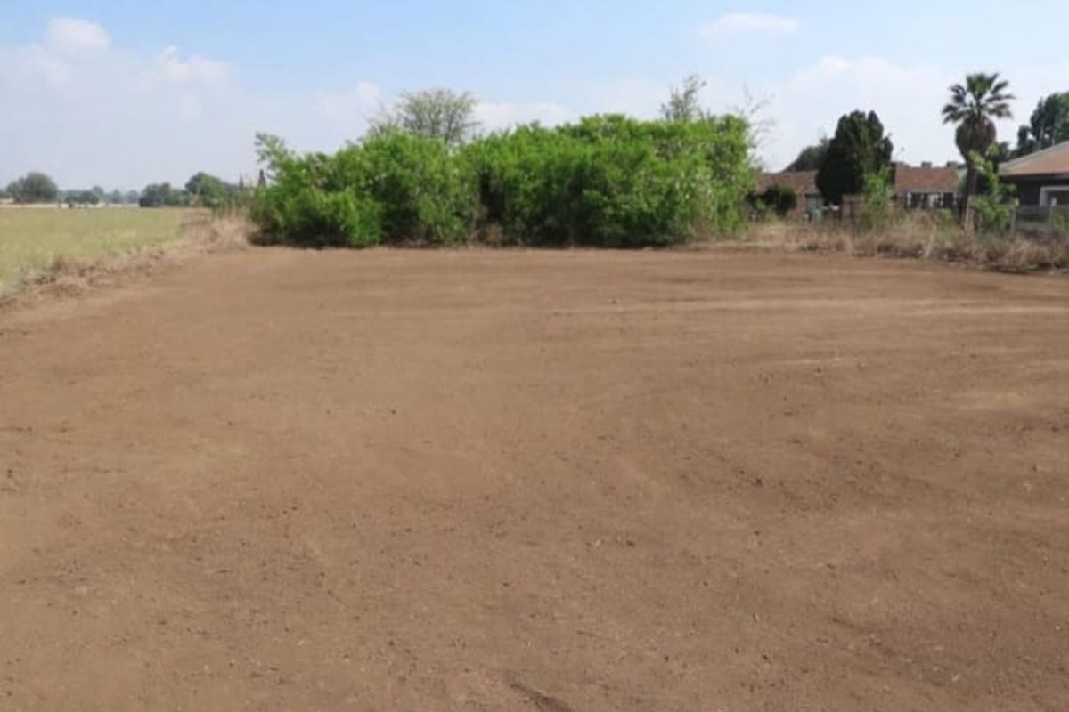 A view of a cleared, level residential plot of land with established trees in the background.