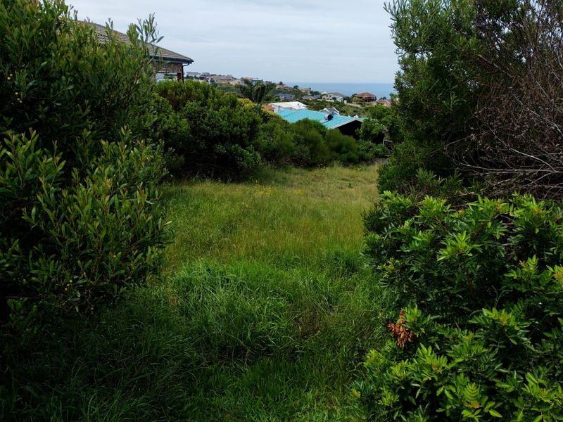 A view of the surrounding residential neighborhood and distant coastline from the sloped, grass-covered vacant residential land.