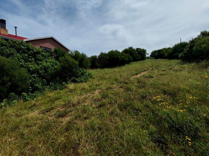 A view of a sloped, grass-covered vacant residential plot with established perimeter shrubbery and adjacent residential building.