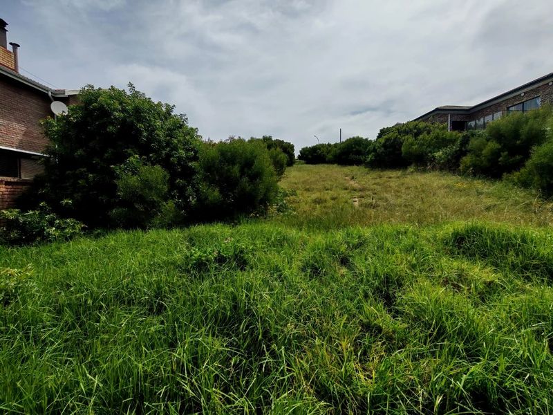 A view of the rear portion of the vacant residential land, featuring a sloped grassy area with established surrounding vegetation.