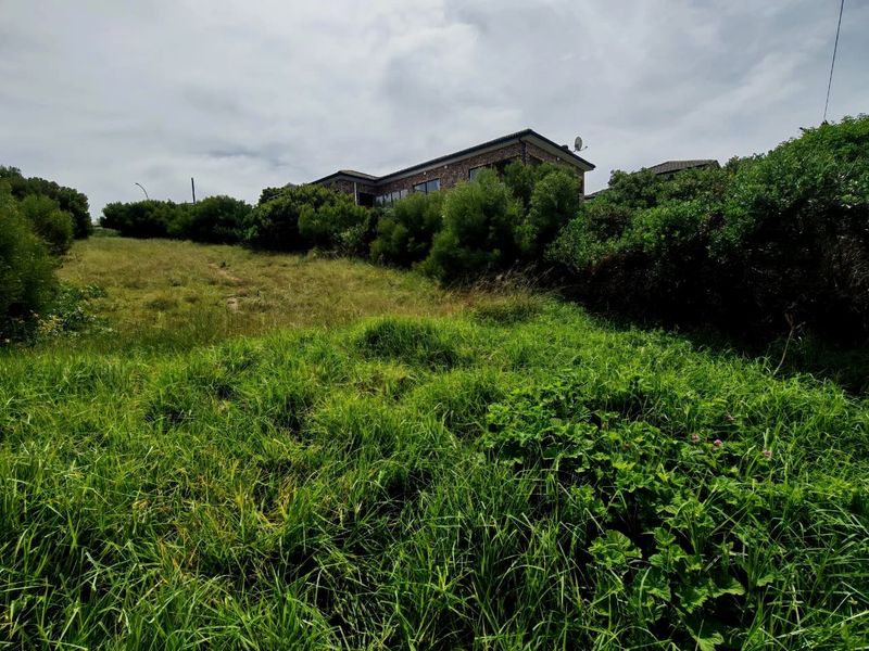 A view of the rear of the property showing the sloped, grass-covered land and established surrounding vegetation.