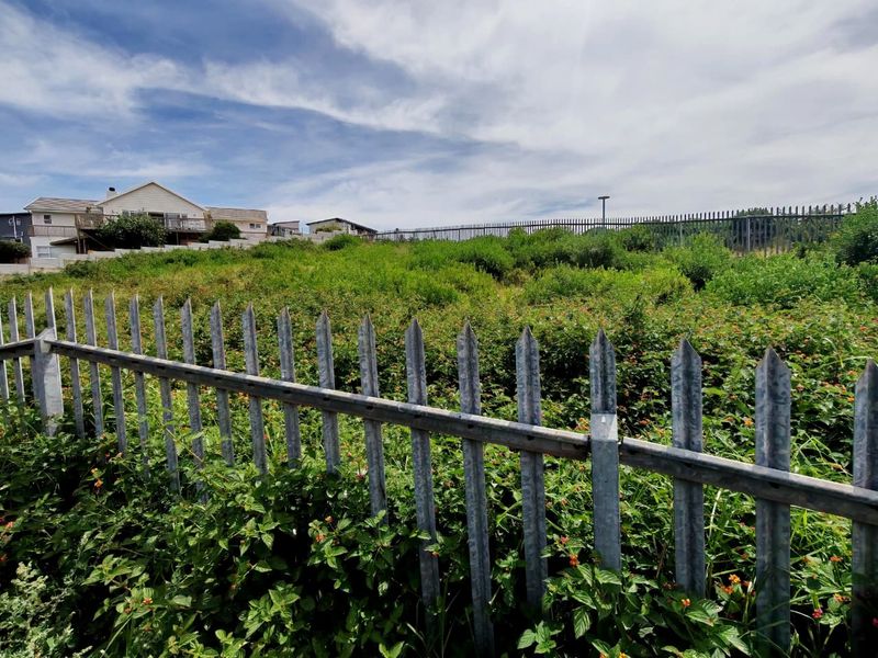 A vacant residential plot enclosed by galvanized steel palisade fencing, featuring significant overgrown vegetation across the site.