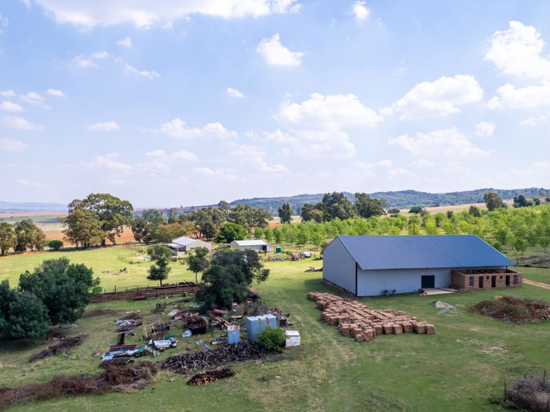 Farm for sale - Photo 8