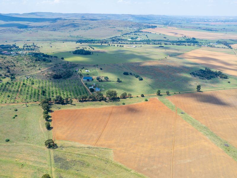Farm for sale - Photo 6