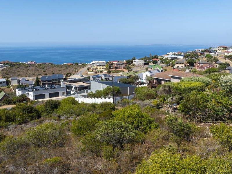 Elevated view overlooking a coastal residential neighborhood with expansive ocean vistas in the background.
