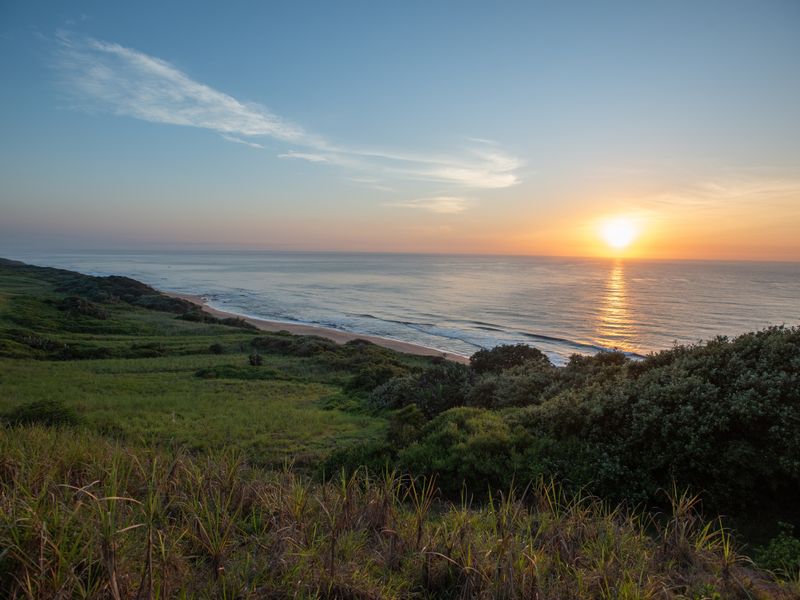 A scenic coastal view featuring a sunrise over the ocean with natural vegetation and shoreline.