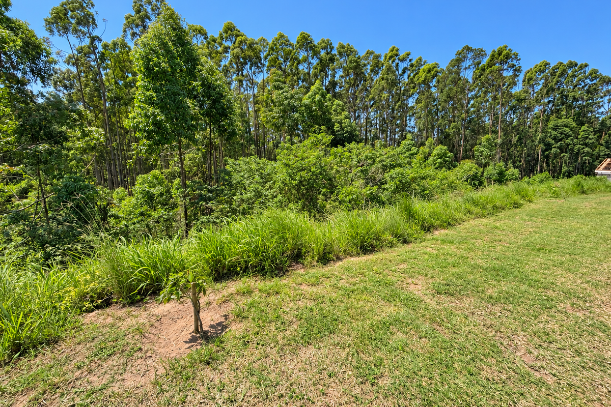 A view of a grassy residential plot featuring established trees and natural vegetation, offering a peaceful and green outlook.