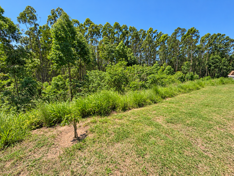 A view of a grassy residential plot featuring established trees and natural vegetation, offering a peaceful and green outlook.