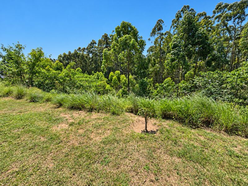 A view of the residential vacant land featuring a grass lawn and established trees along the perimeter.