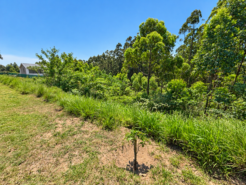 A view of a residential vacant land plot featuring established trees and natural grass coverage.