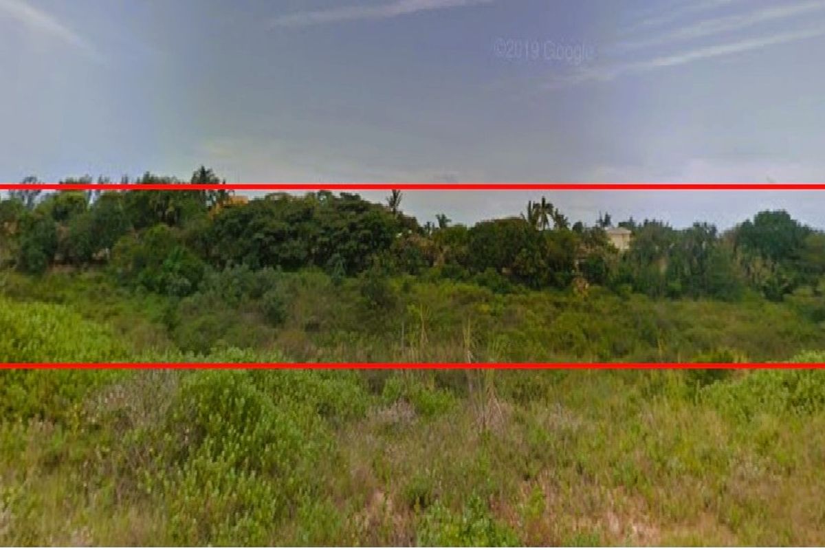 A wide-angle view of a coastal residential land plot featuring dense natural vegetation and distant ocean views.