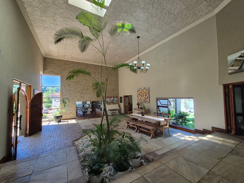 Spacious open-plan living area featuring a striking stone feature wall, high ceilings with a skylight, and a unique internal garden bed.