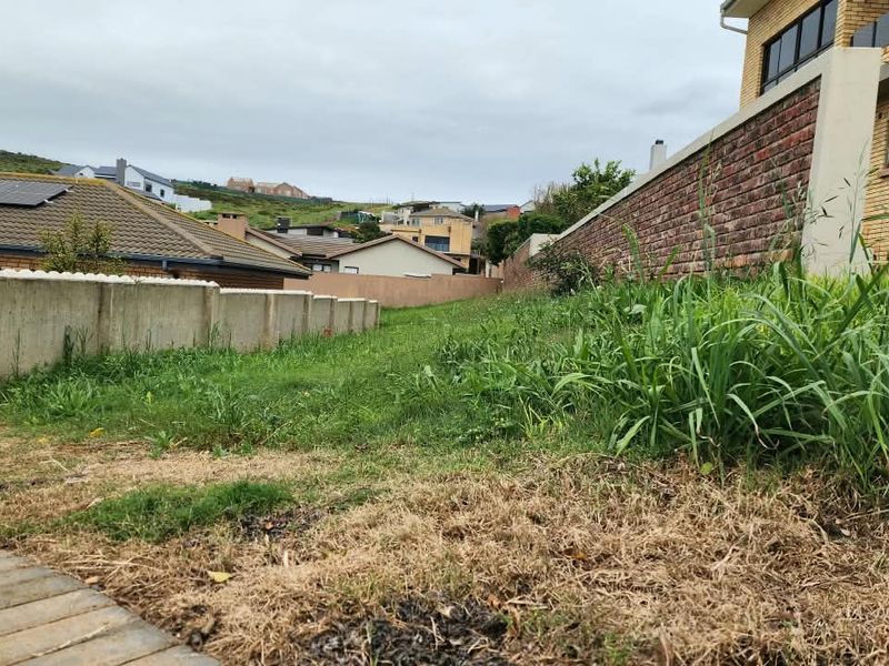 A vacant residential plot featuring a brick boundary wall, concrete retaining wall, and paved walkway, surrounded by established neighborhood homes.