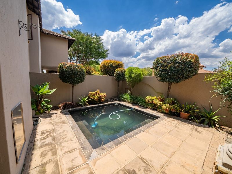 A compact outdoor plunge pool area featuring paved surround and established boundary wall landscaping.