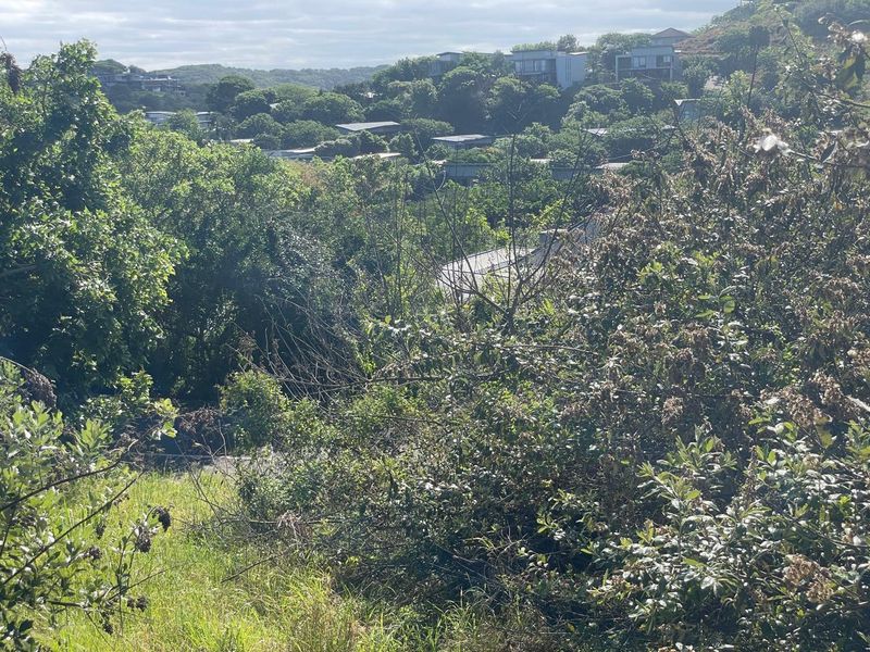 A view of the sloped residential land featuring dense natural vegetation and surrounding neighbourhood landscape.