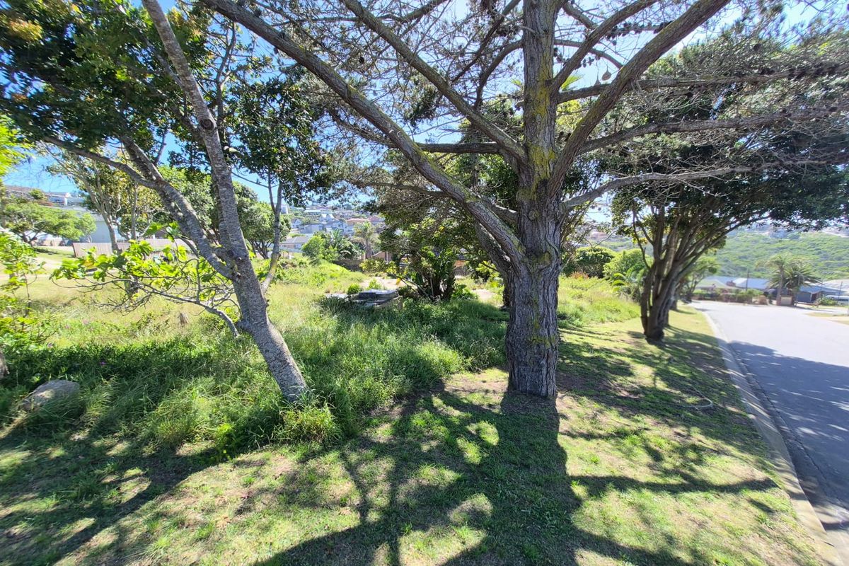 A view of the street frontage and verge featuring mature trees and established grass, providing a natural boundary to the residential land.