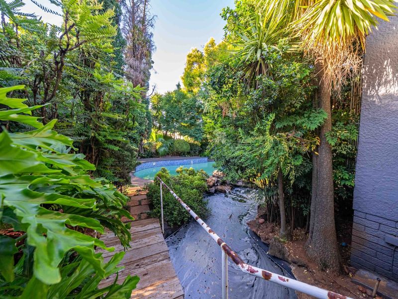 Outdoor pool area featuring a swimming pool, wooden walkway, and metal handrail, surrounded by dense, overgrown garden landscaping.