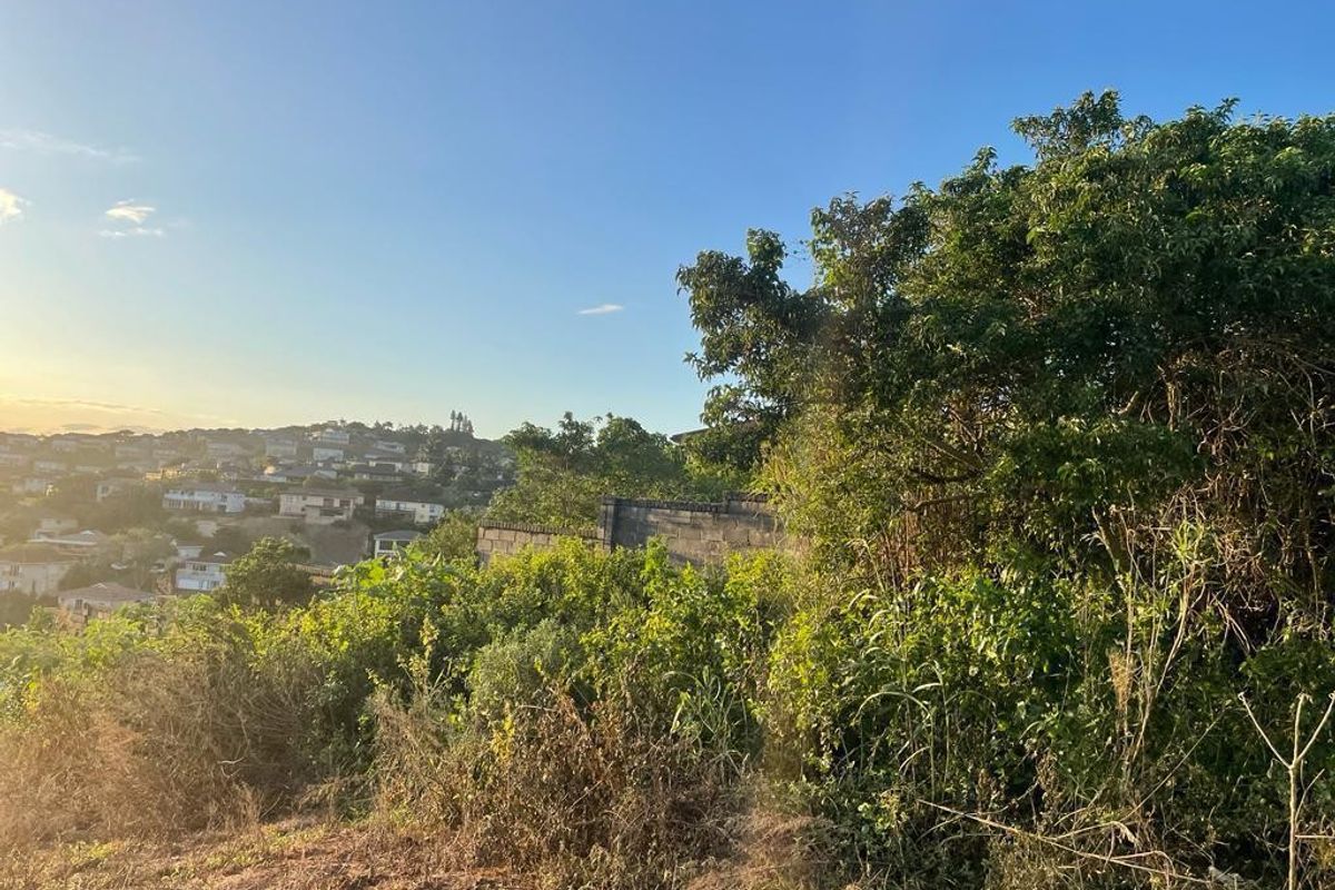 A view of the surrounding residential neighborhood from the elevated vacant land, featuring mature vegetation and a partial view of a boundary wall.