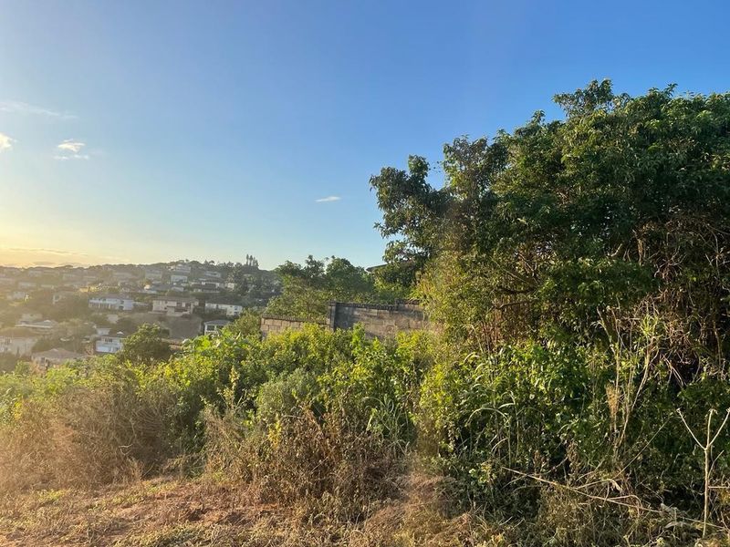 A view of the surrounding residential neighborhood from the elevated vacant land, featuring mature vegetation and a partial view of a boundary wall.