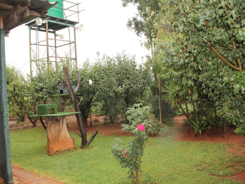 Quiet & Peaceful Home – Spacious Living with Endless Potential - Photo 2