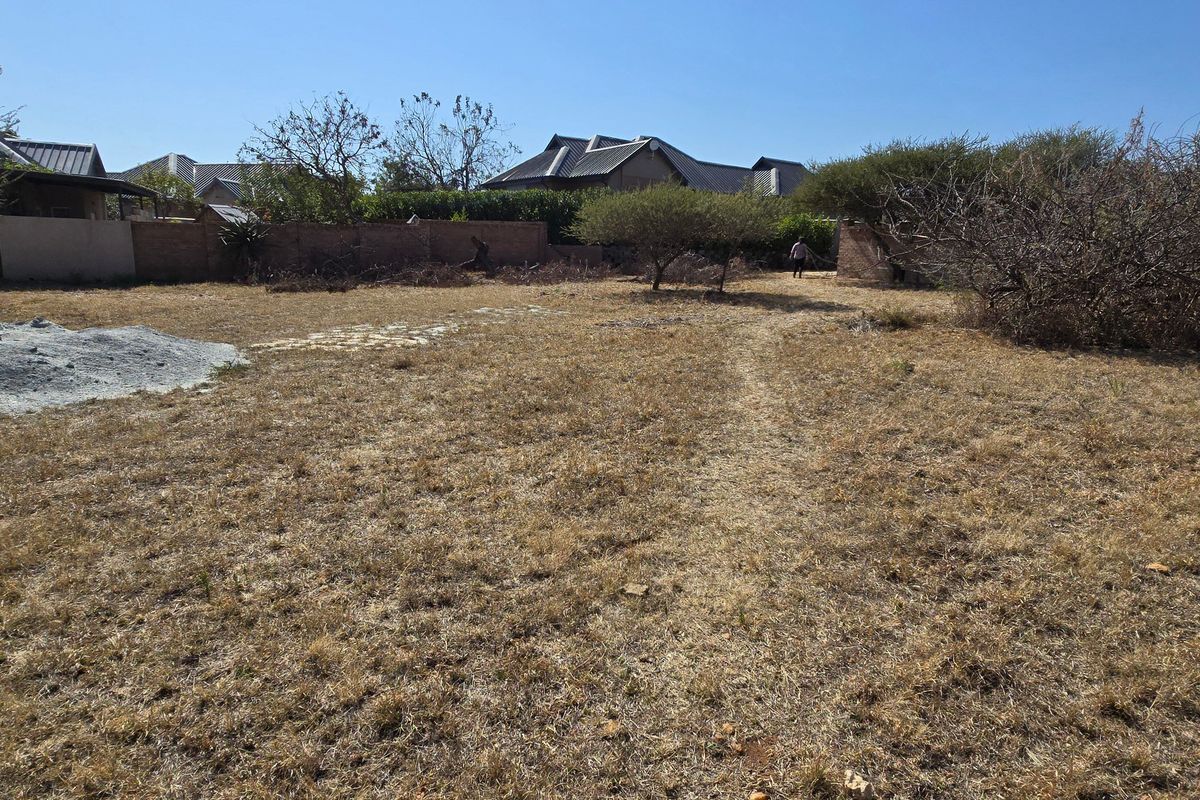 A view of a vacant residential plot featuring dry grass, perimeter brick walls, and established trees, offering a blank canvas for development.